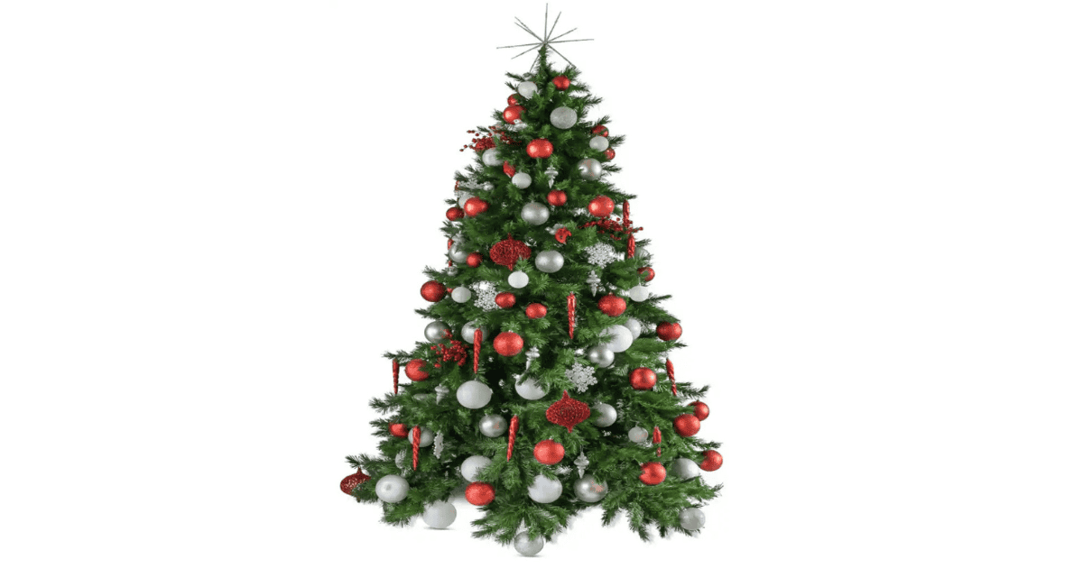 Top Christmas Decor Ideas with CustomWish Event Planner Bangalore
