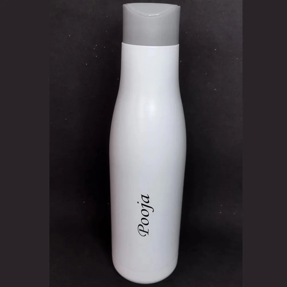 750 ML Stainless Steel Bottle