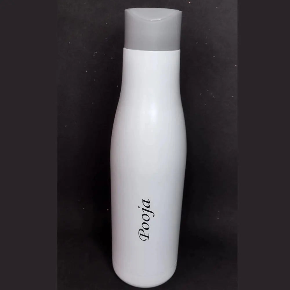750 ML Stainless Bottle