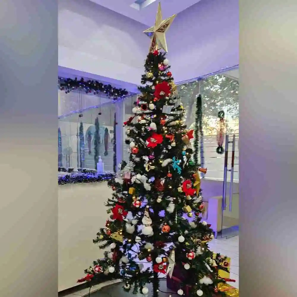 Book Christmas office decoration with fully decorated Christmas tree