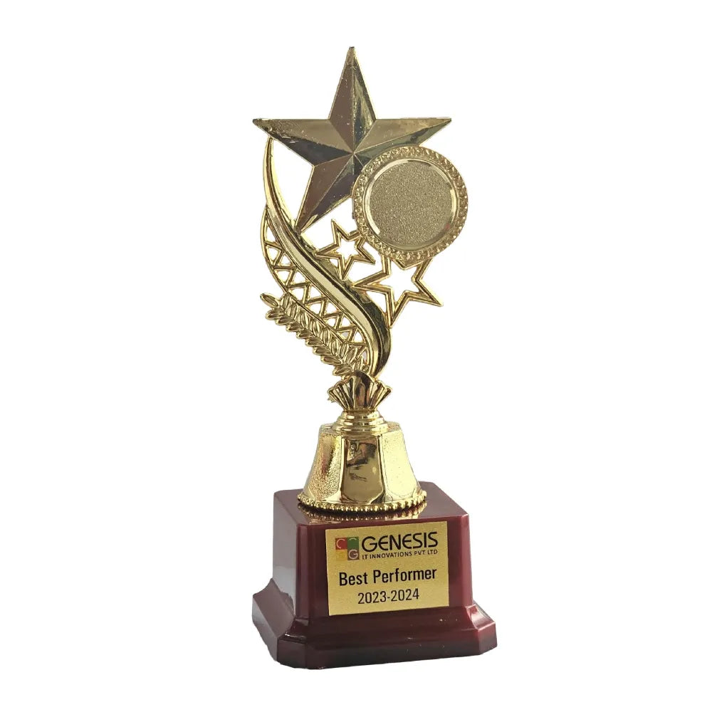 Shop Gold Star Trophy with personalized nameplate for employee recognition awards